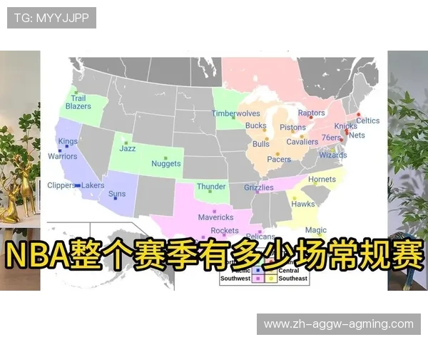 每赛季NBA常规赛总场数及安排详解