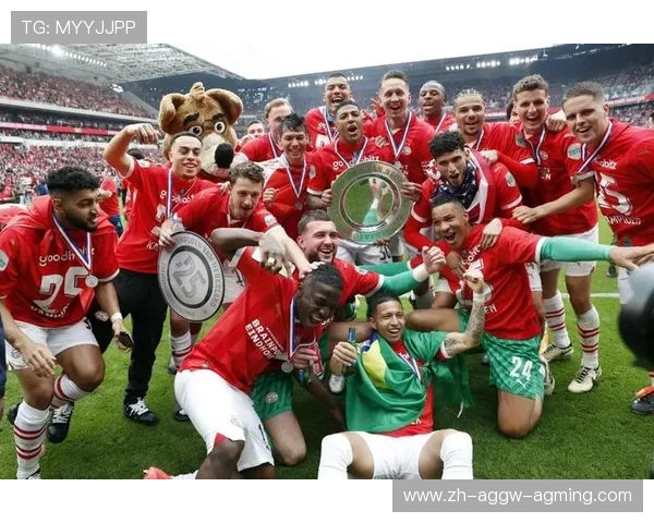 英超球队欧冠战绩综合